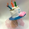 Qianfang Festival wigs, hats for export, 5 candles, birthday cakes, festival hats 3434 details Picture